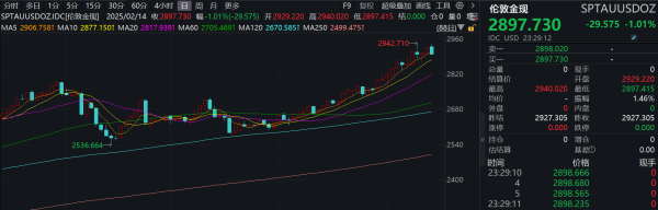 配配网官网 滚动更新丨现货黄金跌破2900美元/盎司